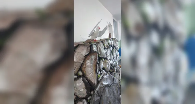 Confira a série de registros da ampla proposta realizada pelos estudantes.