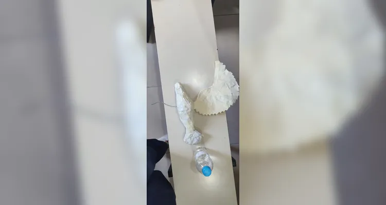 Confira a série de registros da ampla proposta realizada pelos estudantes.