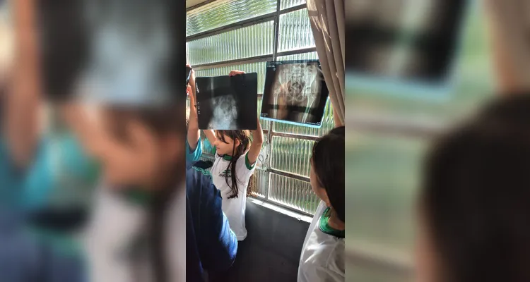 Veja a galeria de fotos da ampla proposta em sala.