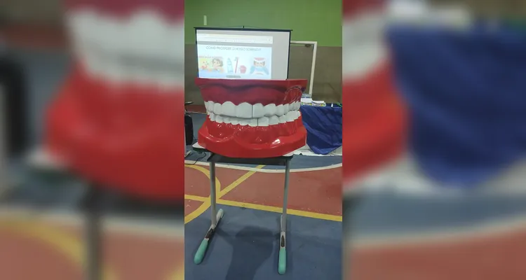 Confira a série de registros do amplo trabalho.