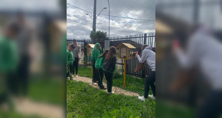 Confira a série de registros do trabalho dentro e fora da sala de aula.
