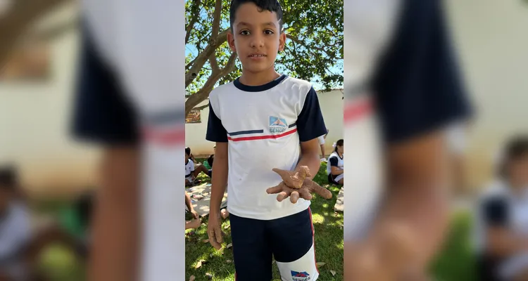 Confira a série de registros do amplo trabalho realizado pelos educandos.