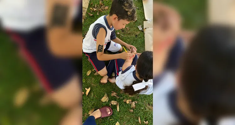 Confira a série de registros do amplo trabalho realizado pelos educandos.