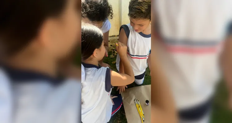 Confira a série de registros do amplo trabalho realizado pelos educandos.