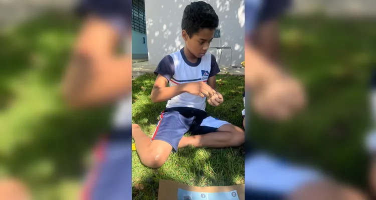 Confira a série de registros do amplo trabalho realizado pelos educandos.