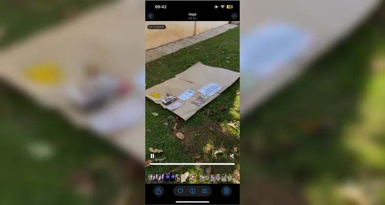 Confira a série de registros do amplo trabalho realizado pelos educandos.