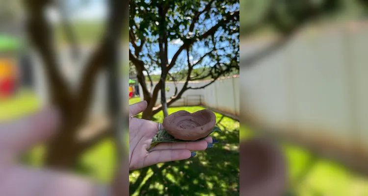 Confira a série de registros do amplo trabalho realizado pelos educandos.