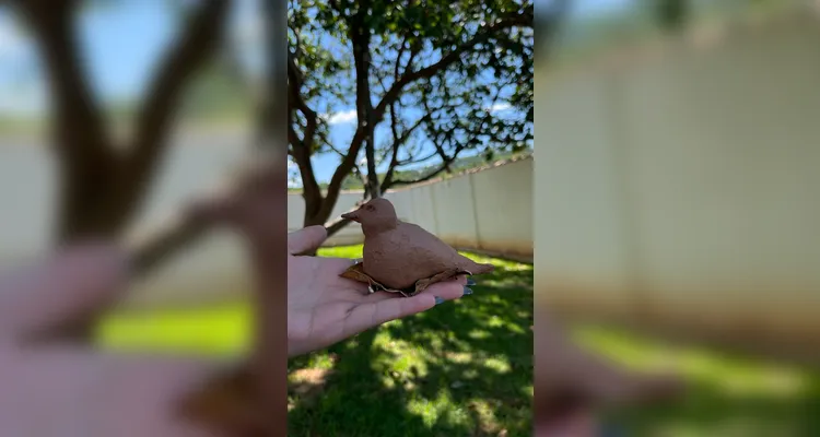 Confira a série de registros do amplo trabalho realizado pelos educandos.