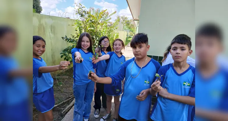 Confira a série de registros do amplo trabalho realizado pelos educandos.