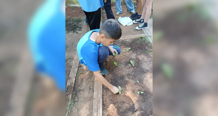 Confira a série de registros do amplo trabalho realizado pelos educandos.