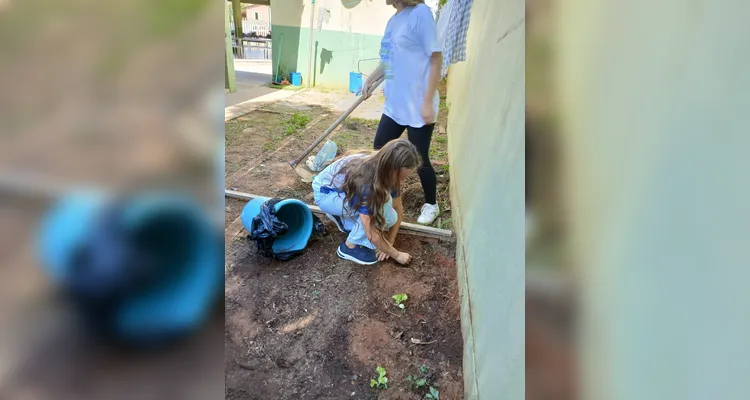 Confira a série de registros do amplo trabalho realizado pelos educandos.