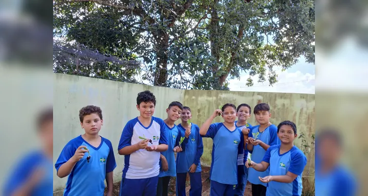 Confira a série de registros do amplo trabalho realizado pelos educandos.