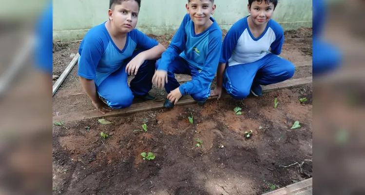 Confira a série de registros do amplo trabalho realizado pelos educandos.