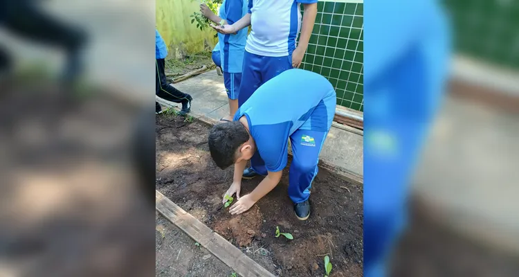 Confira a série de registros do amplo trabalho realizado pelos educandos.