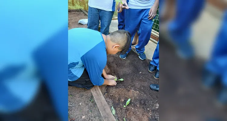 Confira a série de registros do amplo trabalho realizado pelos educandos.