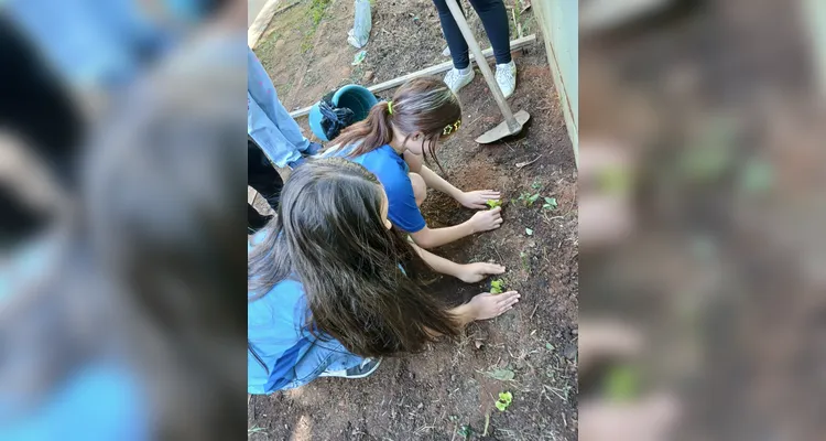 Confira a série de registros do amplo trabalho realizado pelos educandos.