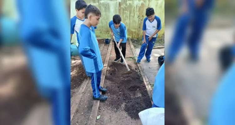 Confira a série de registros do amplo trabalho realizado pelos educandos.