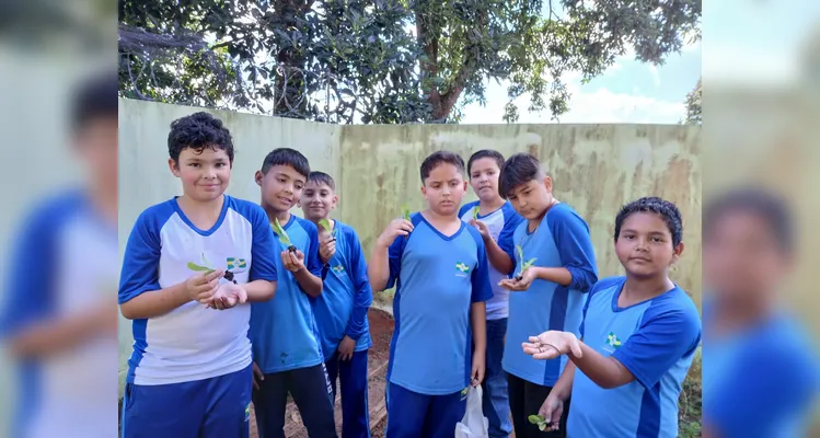 Confira a série de registros do amplo trabalho realizado pelos educandos.