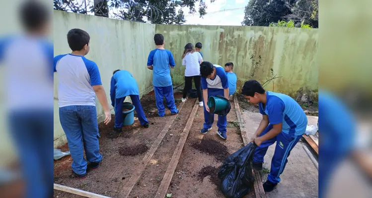 Confira a série de registros do amplo trabalho realizado pelos educandos.