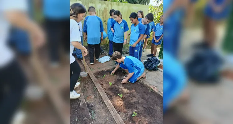 Confira a série de registros do amplo trabalho realizado pelos educandos.