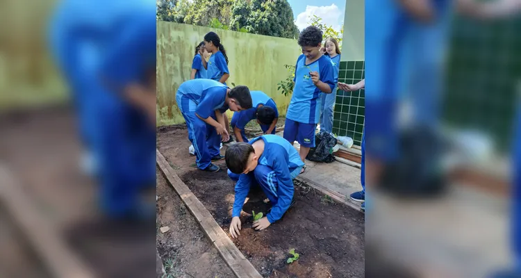 Confira a série de registros do amplo trabalho realizado pelos educandos.