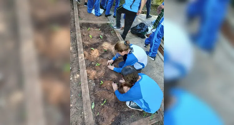 Confira a série de registros do amplo trabalho realizado pelos educandos.