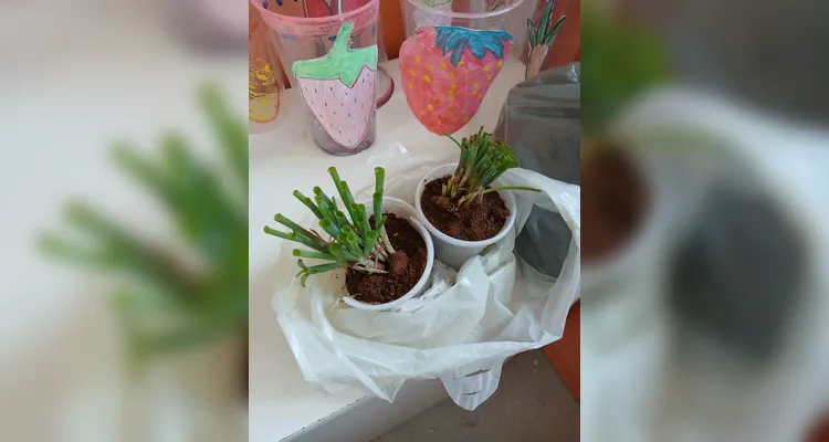 Confira a série de registros do amplo trabalho realizado pelos educandos.