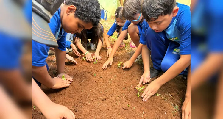 Confira a série de registros da ampla proposta ambiental.