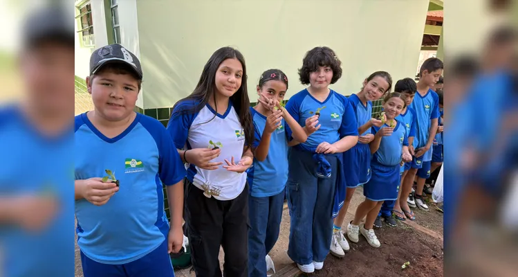 Confira a série de registros da ampla proposta ambiental.