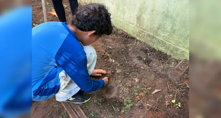 Confira a série de registros da ampla proposta ambiental.