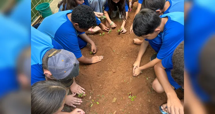 Confira a série de registros da ampla proposta ambiental.