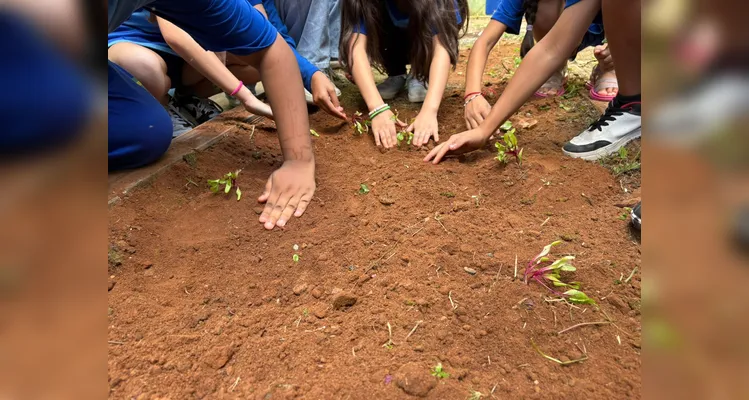 Confira a série de registros da ampla proposta ambiental.