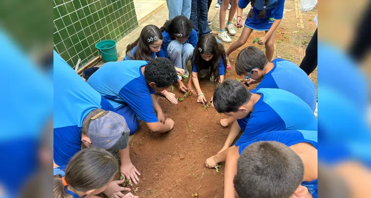 Confira a série de registros da ampla proposta ambiental.