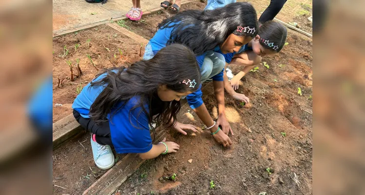 Confira a série de registros da ampla proposta ambiental.