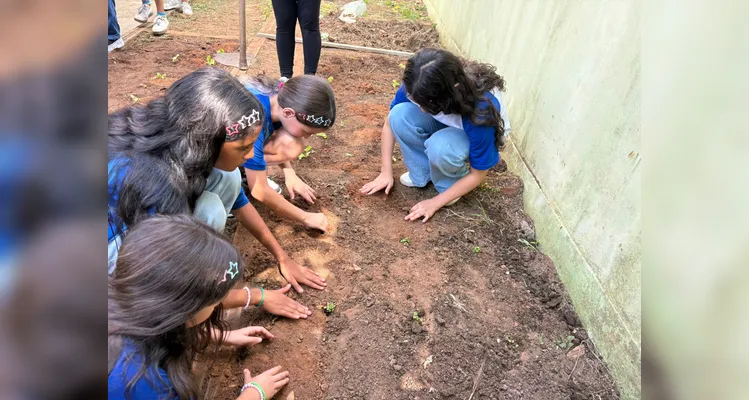 Confira a série de registros da ampla proposta ambiental.