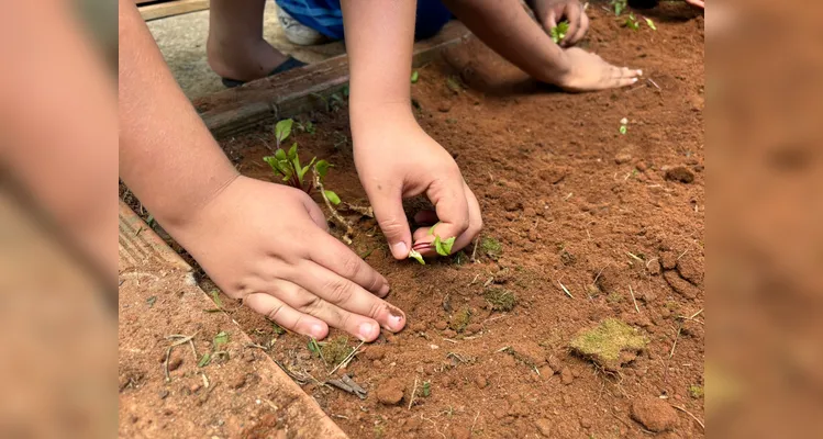 Confira a série de registros da ampla proposta ambiental.