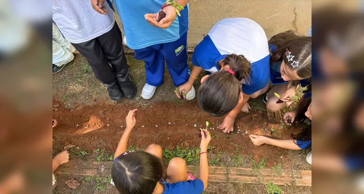 Confira a série de registros da ampla proposta ambiental.