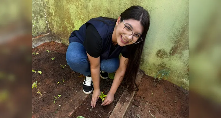 Confira a série de registros da ampla proposta ambiental.