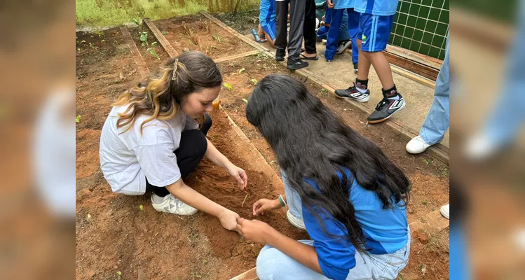Confira a série de registros da ampla proposta ambiental.