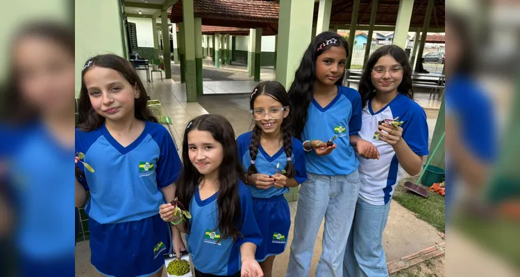 Confira a série de registros da ampla proposta ambiental.