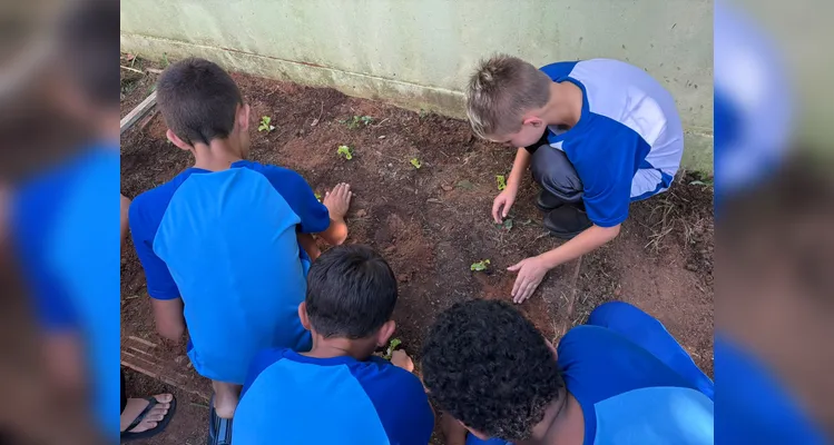 Confira a série de registros da ampla proposta ambiental.