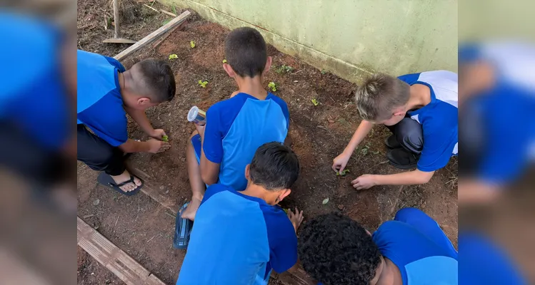 Confira a série de registros da ampla proposta ambiental.