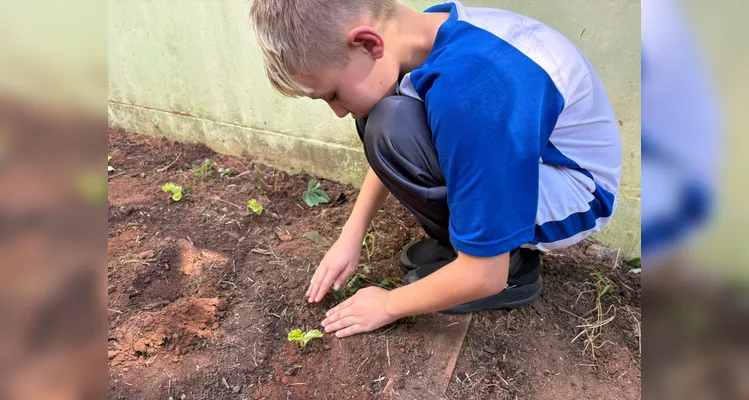 Confira a série de registros da ampla proposta ambiental.