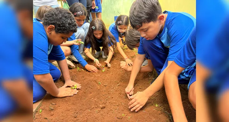 Confira a série de registros da ampla proposta ambiental.