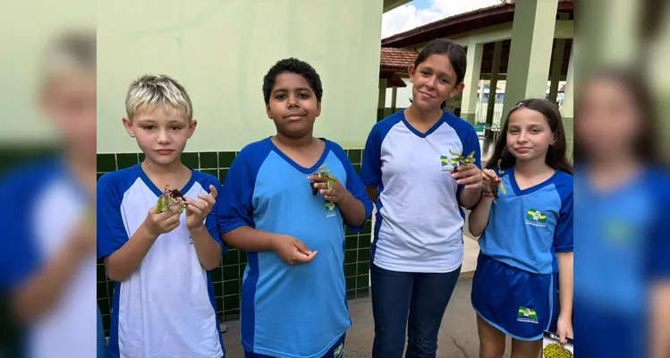 Confira a série de registros da ampla proposta ambiental.