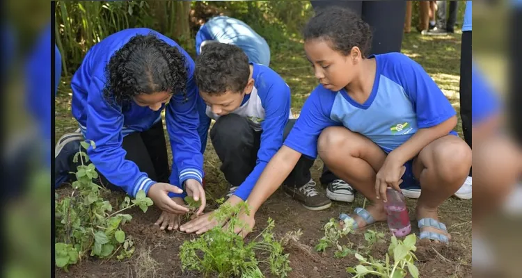 Confira os registros da ampla proposta dentro e fora da sala de aula.