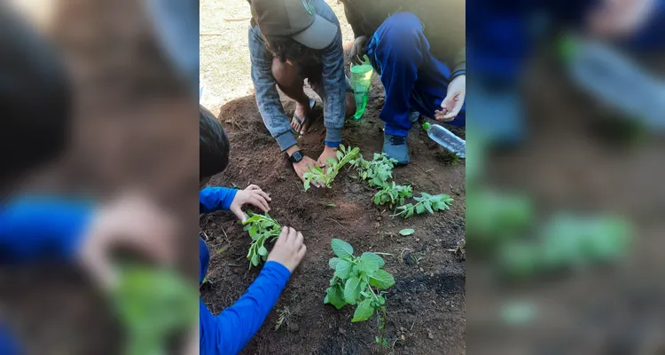 Confira os registros da ampla proposta dentro e fora da sala de aula.