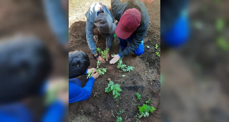 Confira os registros da ampla proposta dentro e fora da sala de aula.