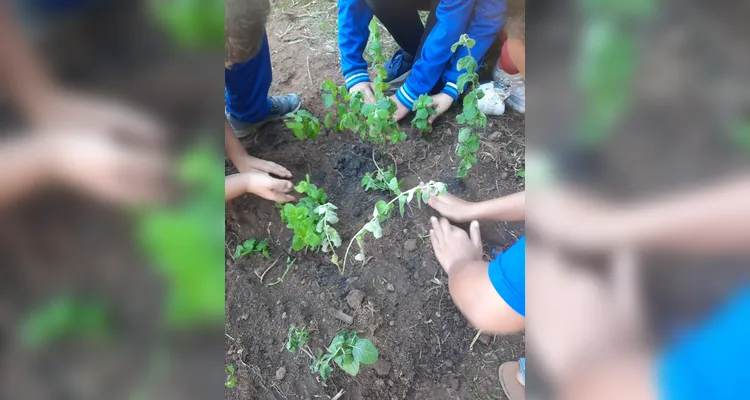 Confira os registros da ampla proposta dentro e fora da sala de aula.