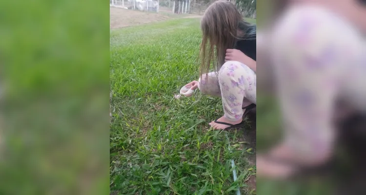 Confira os registros da ampla proposta executada pelos educandos.